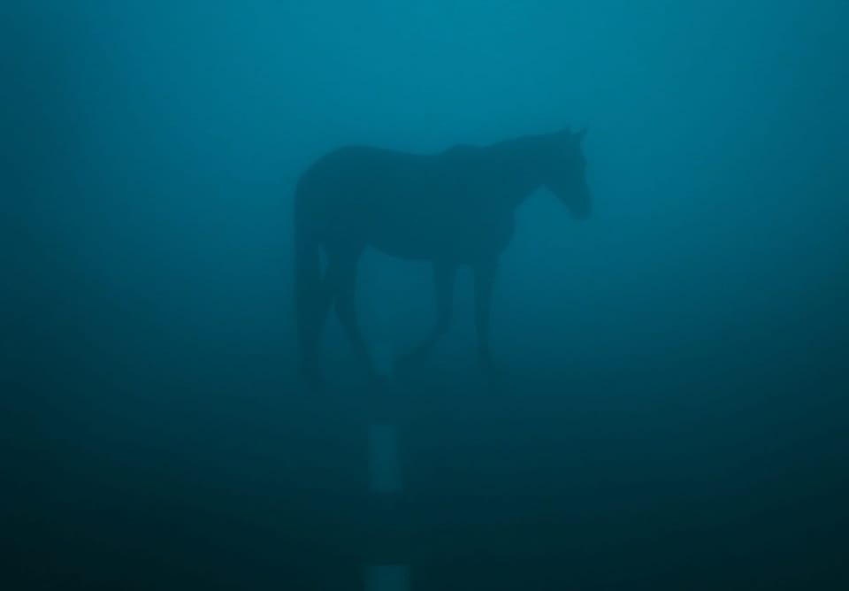 L'AI mente non sapendo di mentire